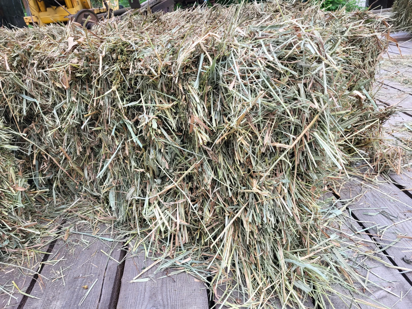 Square Bales of Grass Hay - photo 3