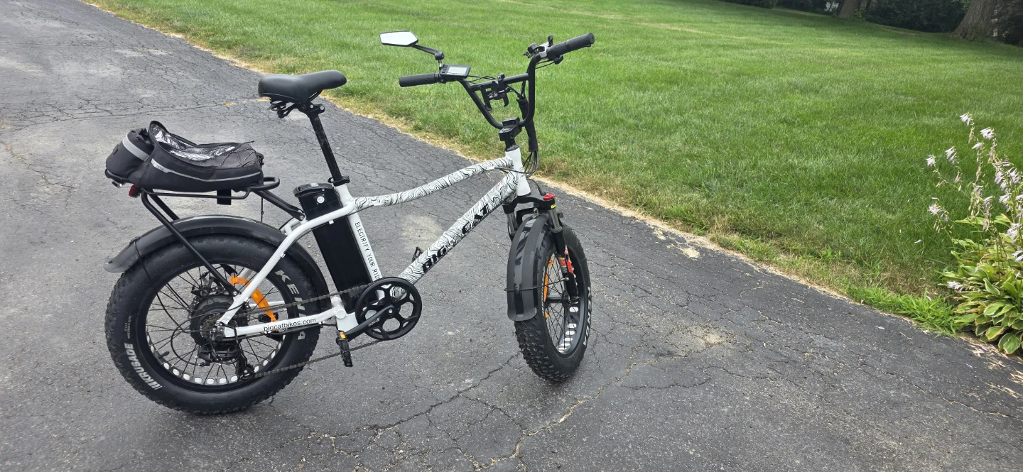 Fat Tire Electric Bike - photo 2