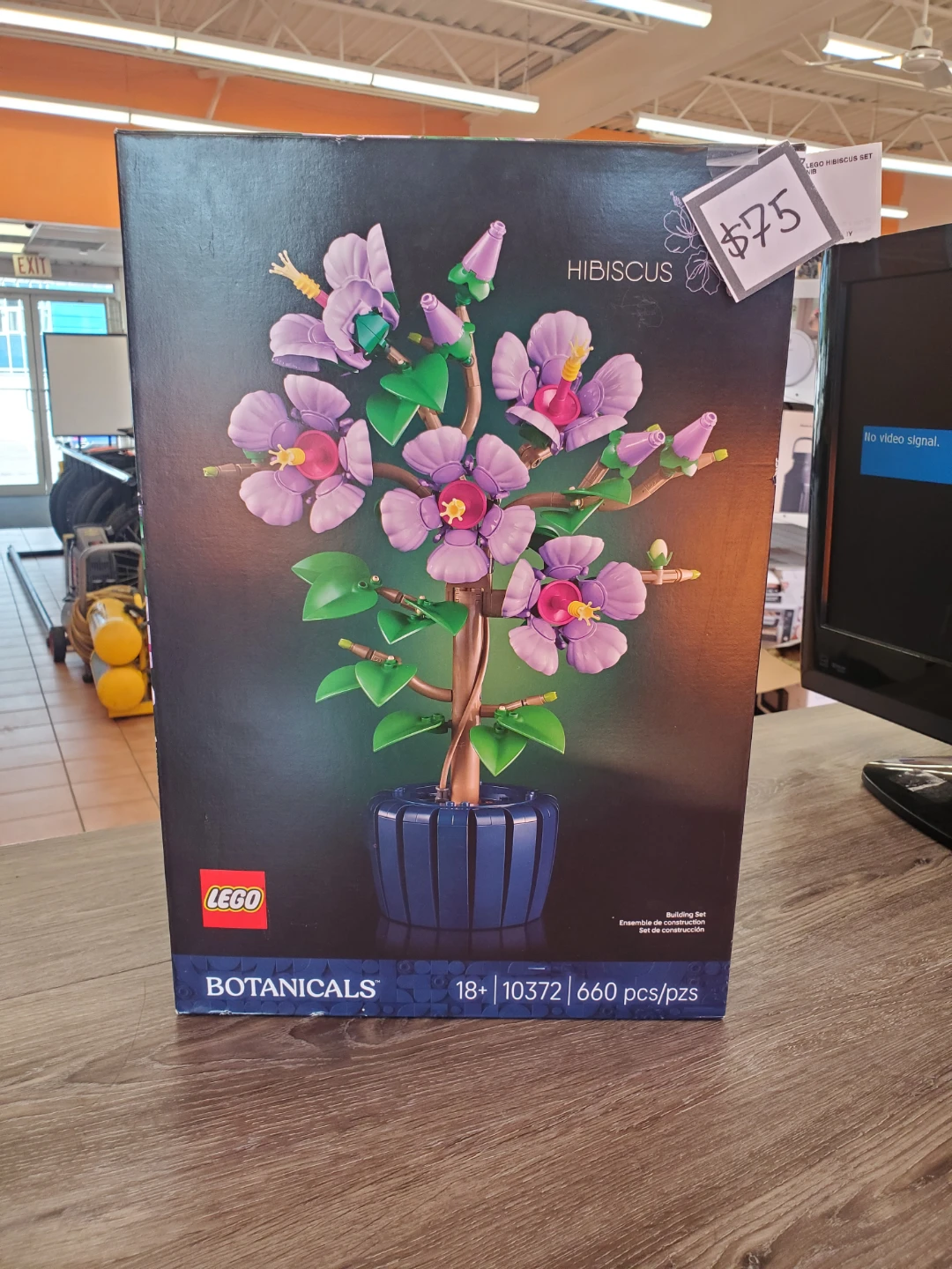 LEGO Botanicals 10372 Hibiscus Building Set
