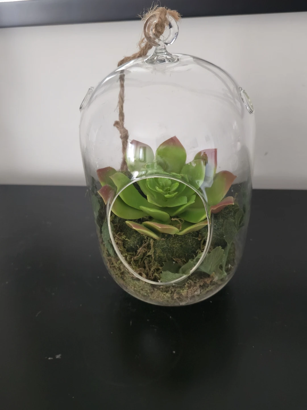 Hanging Glass Terrarium with Faux Succulent