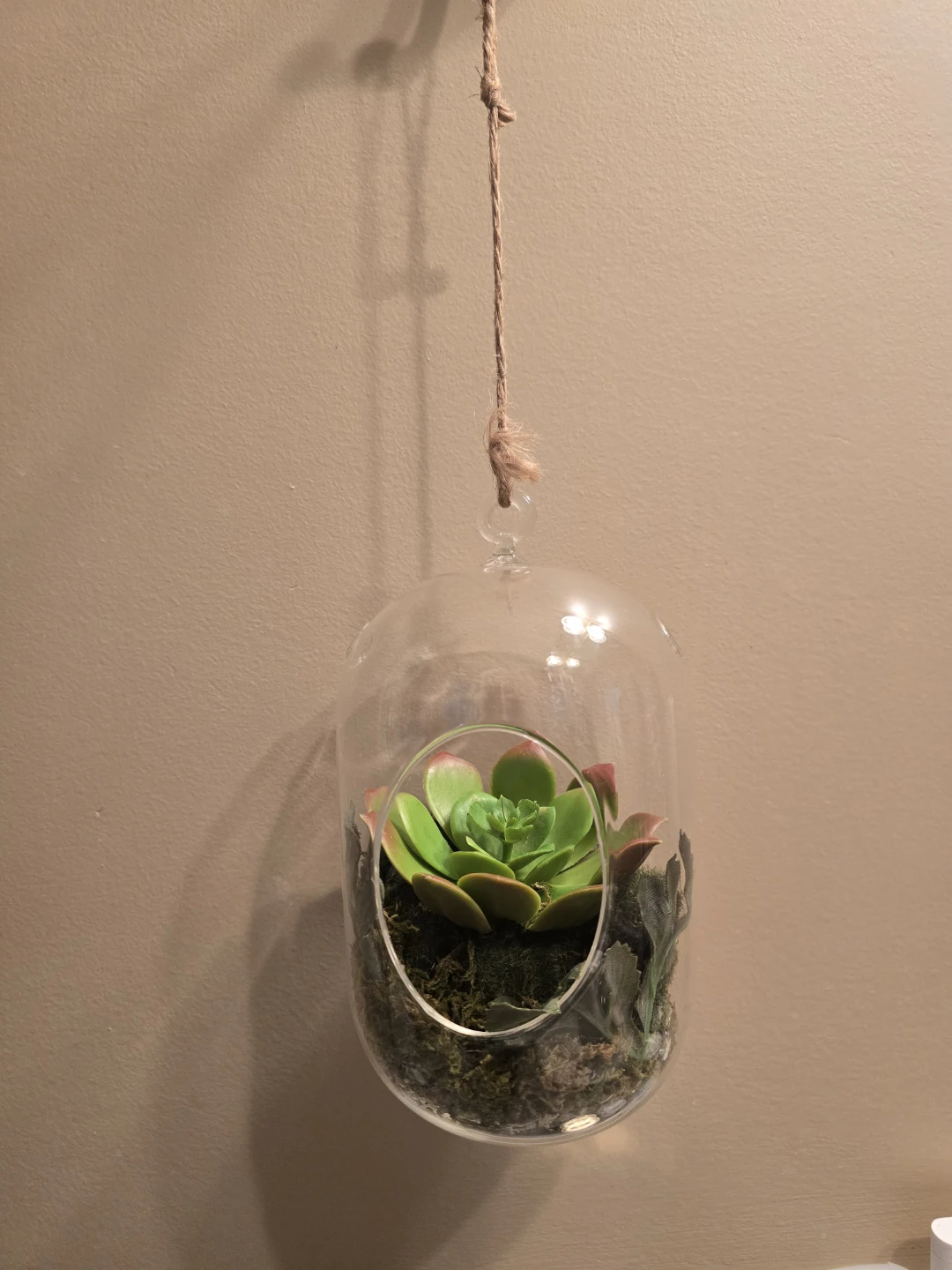 Hanging Glass Terrarium with Faux Succulent - photo 2
