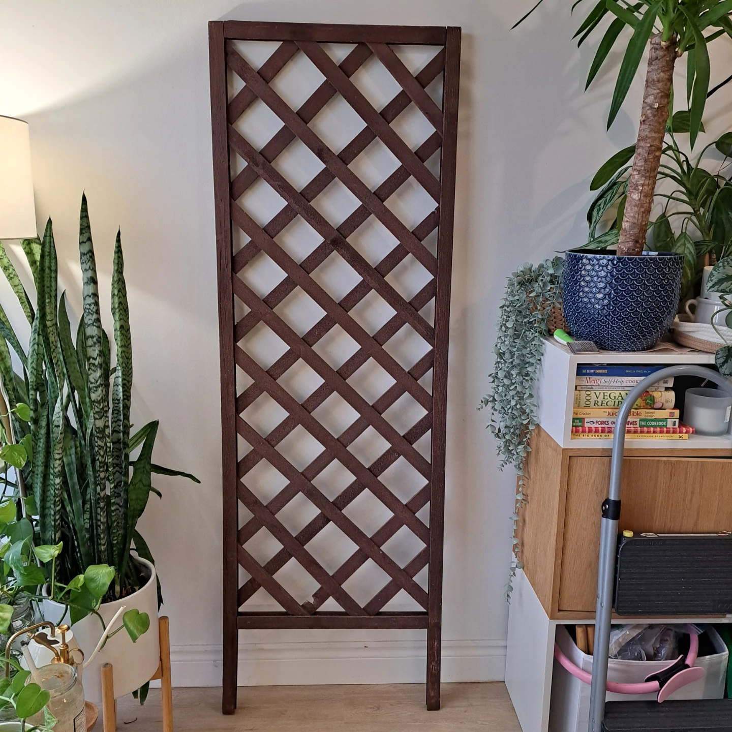 6ft Wooden Garden Lattice Trellis
