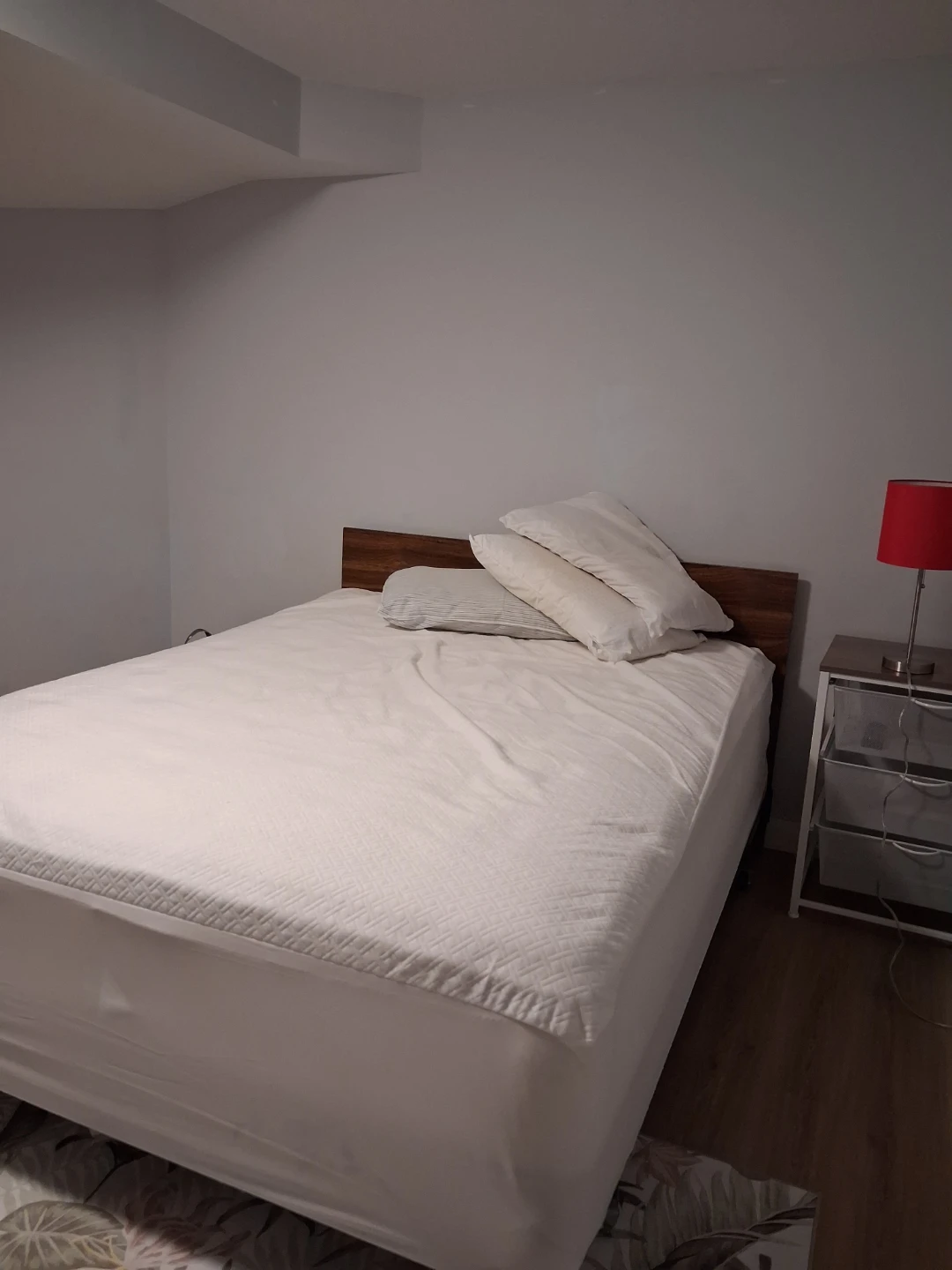 Looking for room in Steinbach, MB