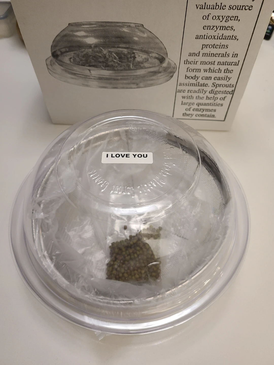 Tony Hornick's Sprout Growers - photo 5