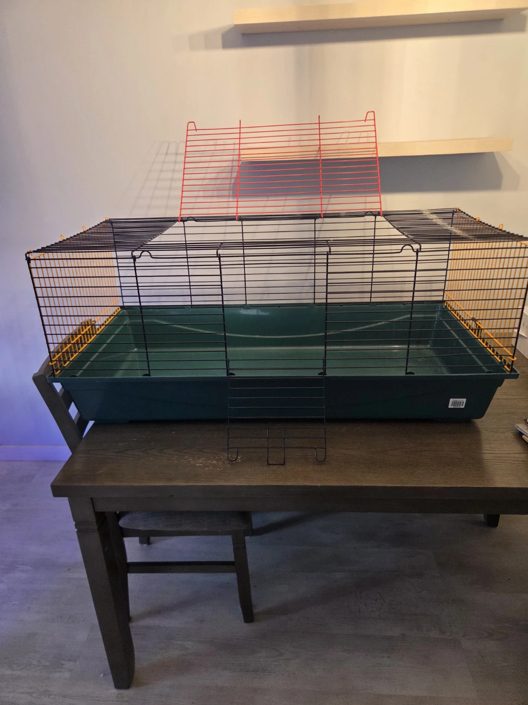 Small Animal Cage with Green Base