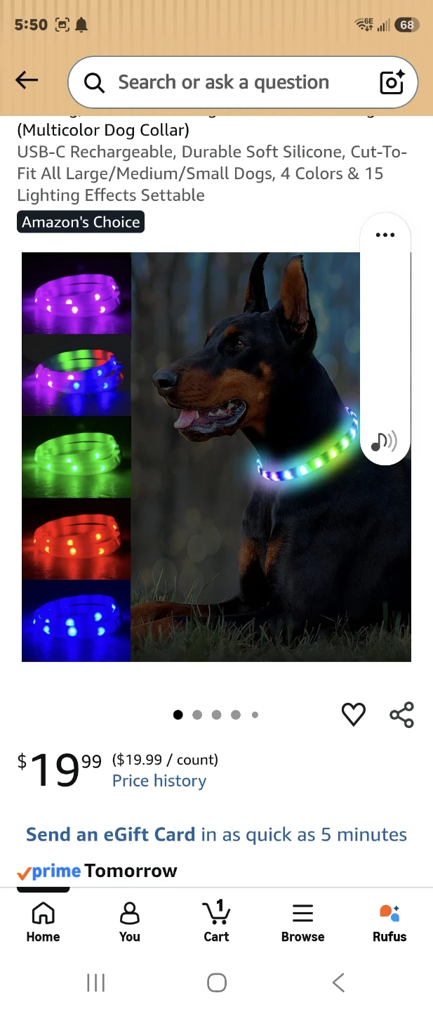 Multicolor Dog Collar - USB-C Rechargeable