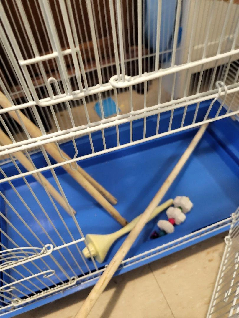 Bird cage with Bird Food and toys - photo 3