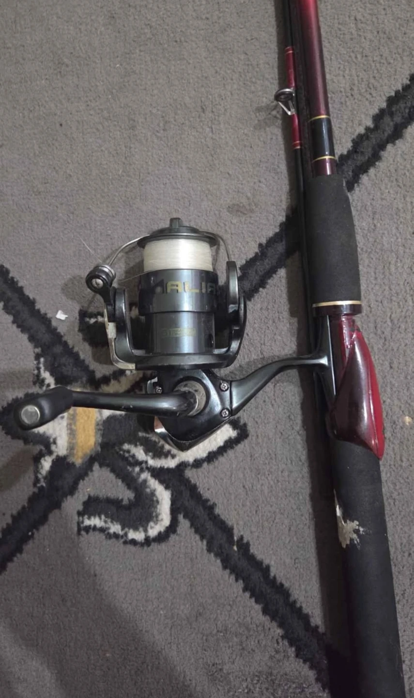 Shimano Fishing Rod and Reel Combo