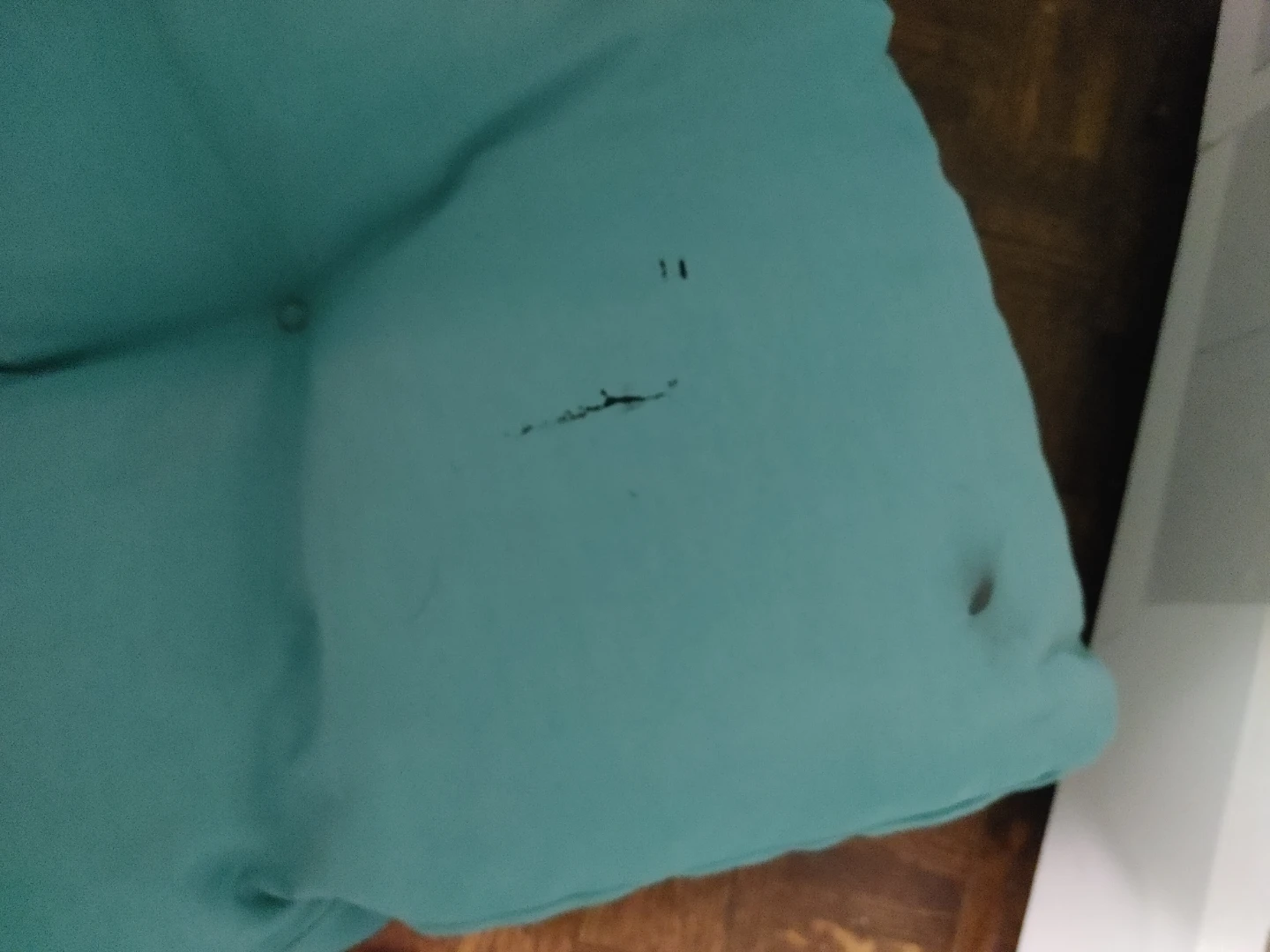Teal Overstuffed Outdoor Chair cushions (set of 2) - photo 3