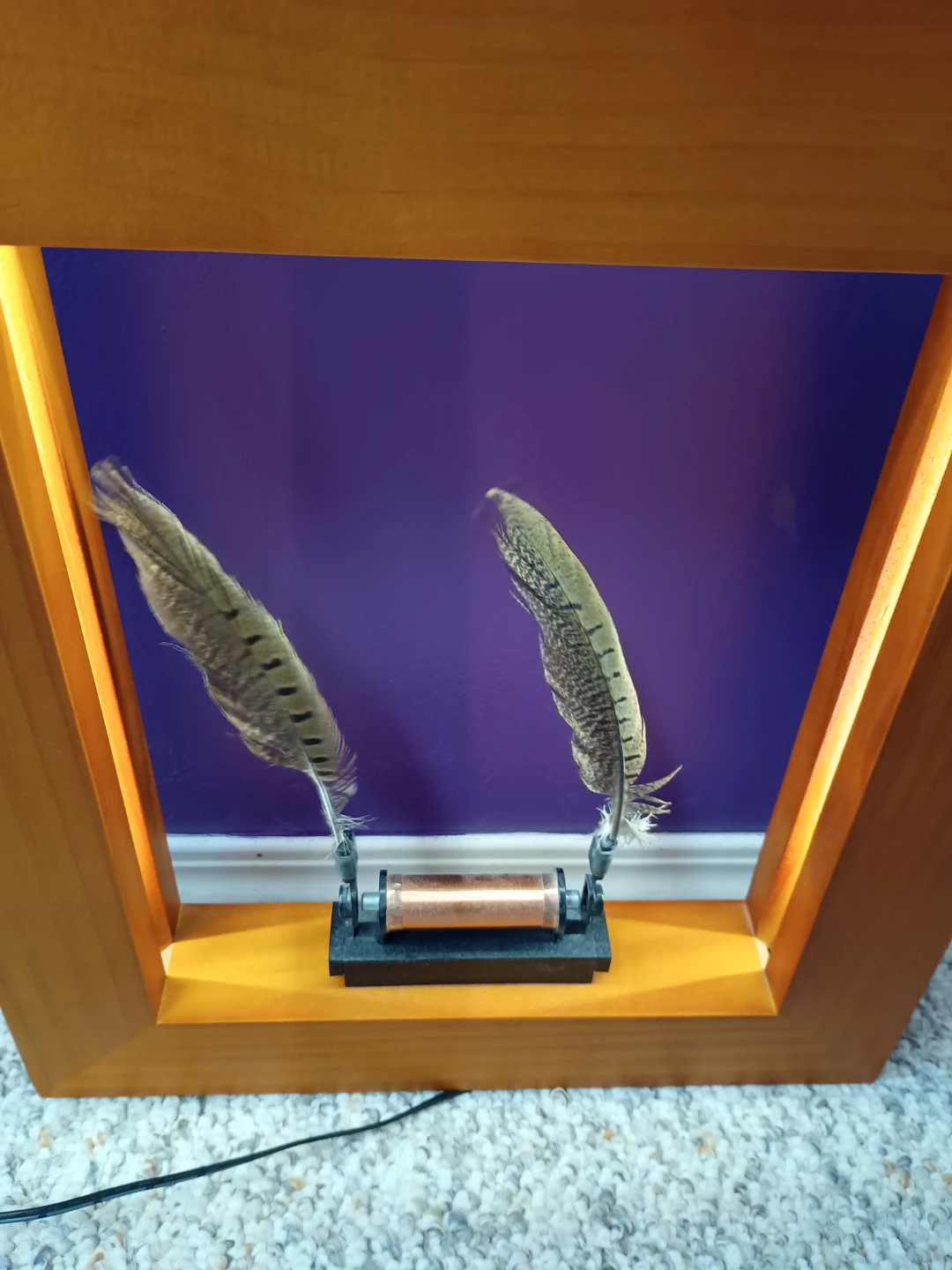 Wooden Framed Feather Display with Light