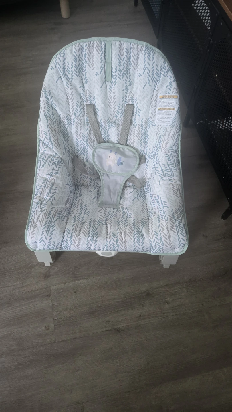 Baby Bouncer Seat