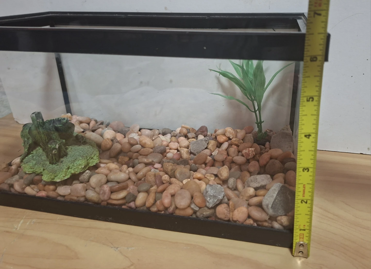 Glass Fish Tank - photo 4