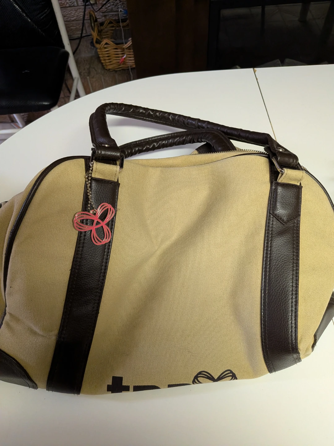 Aritzia bag