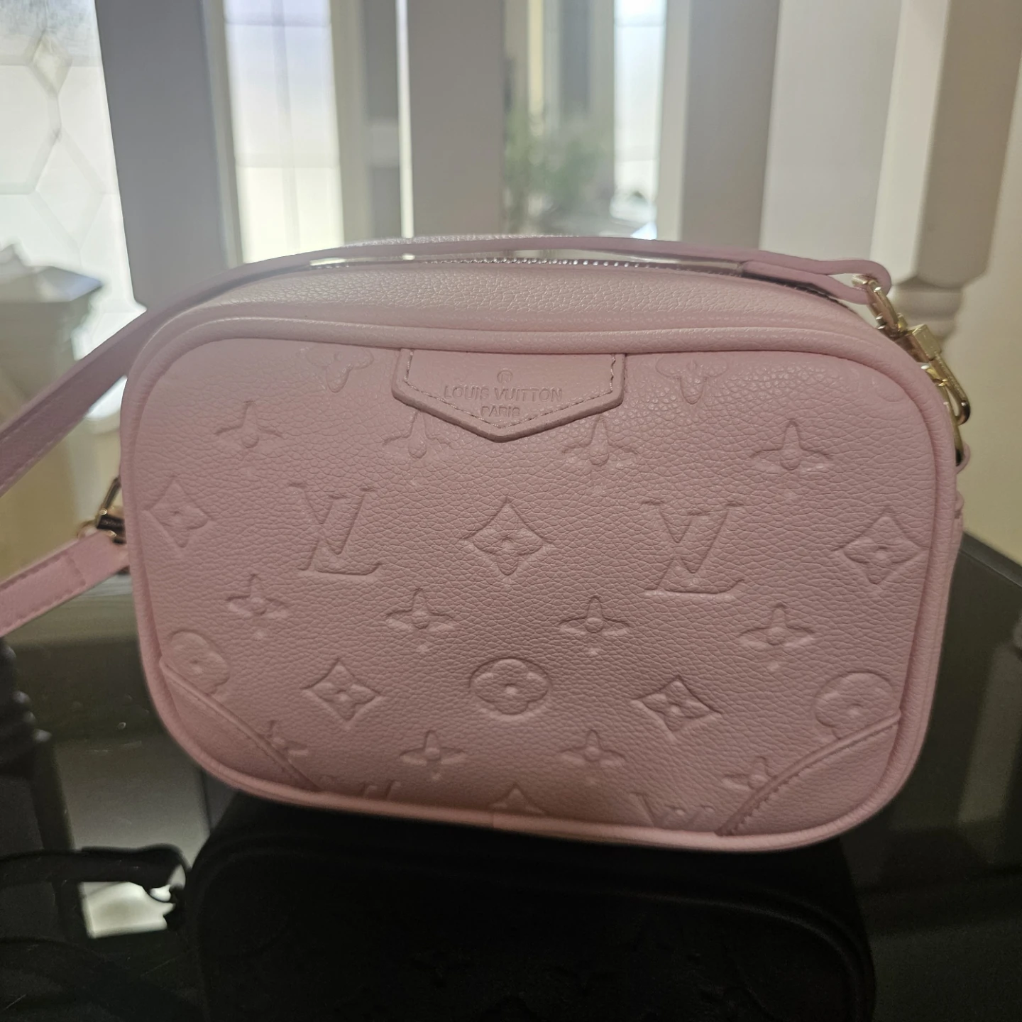 Louis Vuitton Pink Monogram Camera Bag