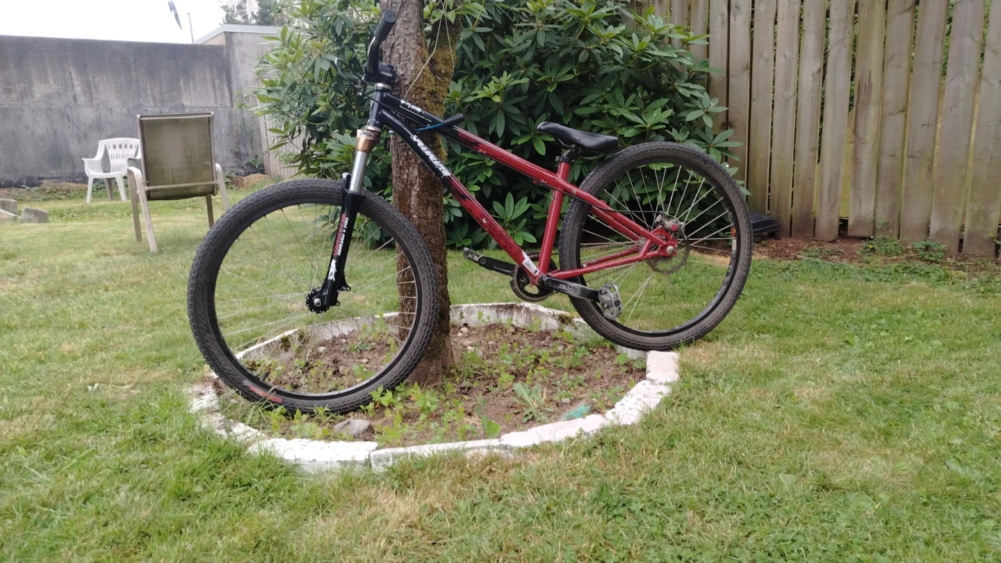 Specialized Dirt Jump Bike