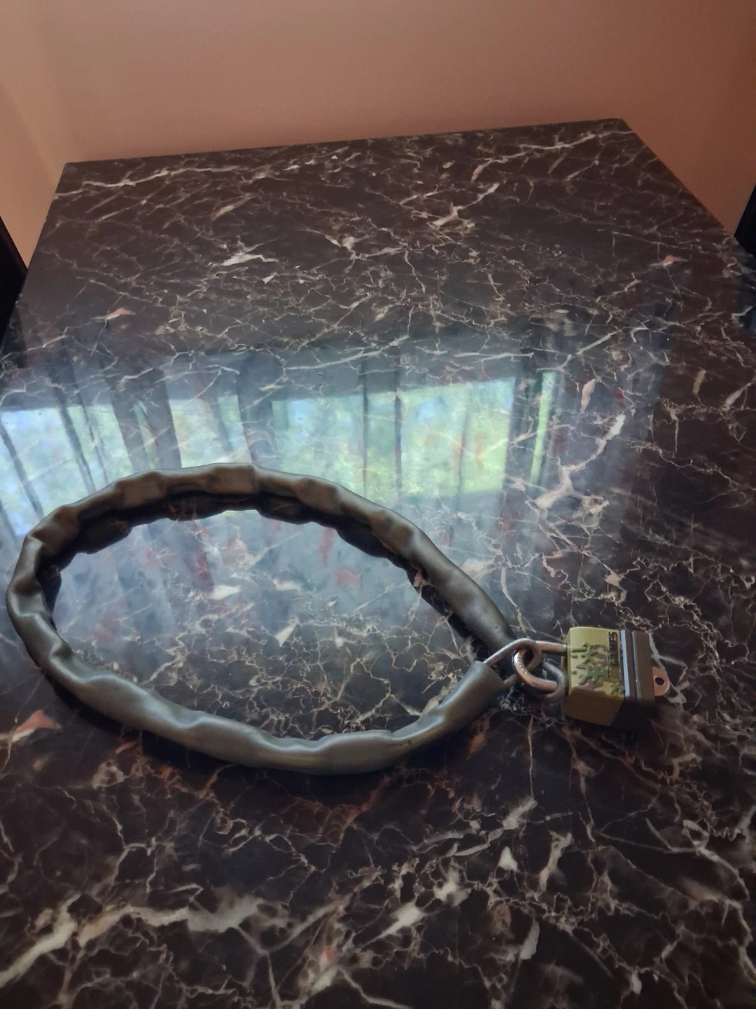 X-Games Cable Lock with Padlock