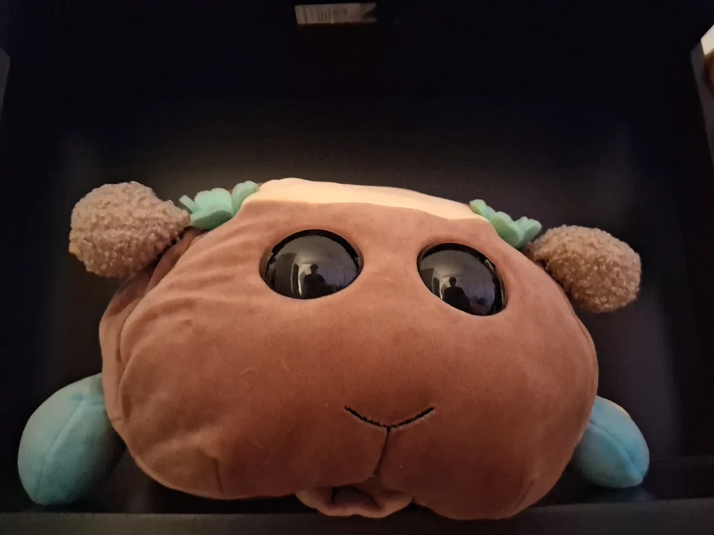 Pul pul Molcar Plush