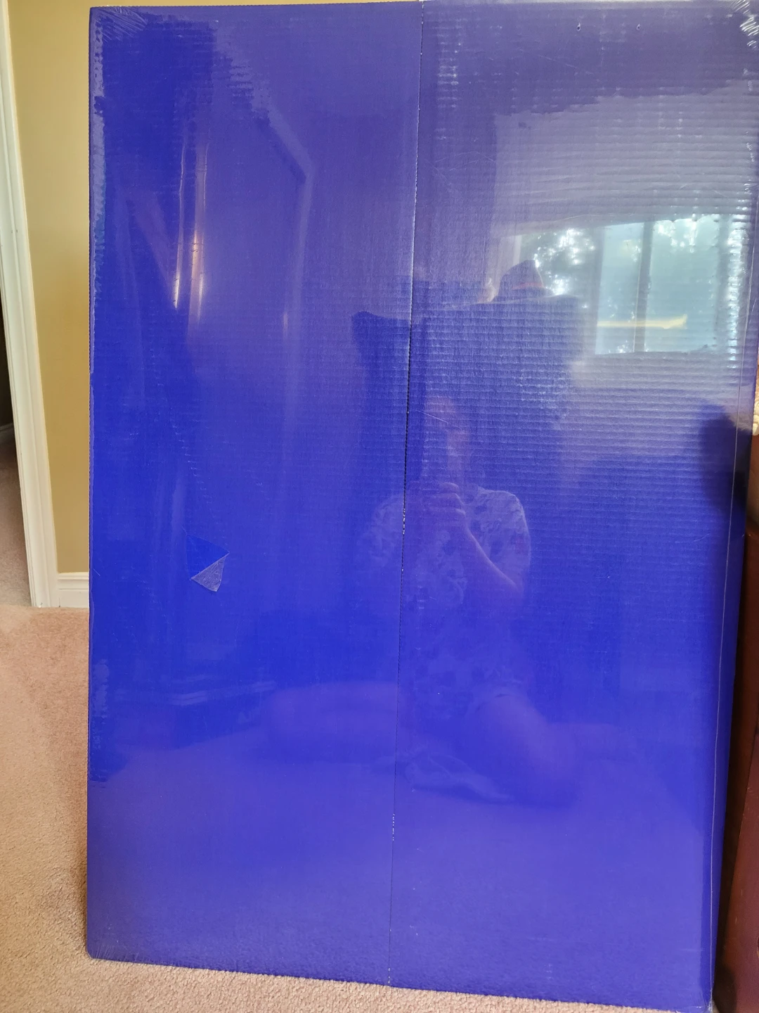 Blue Presentation Cardboard