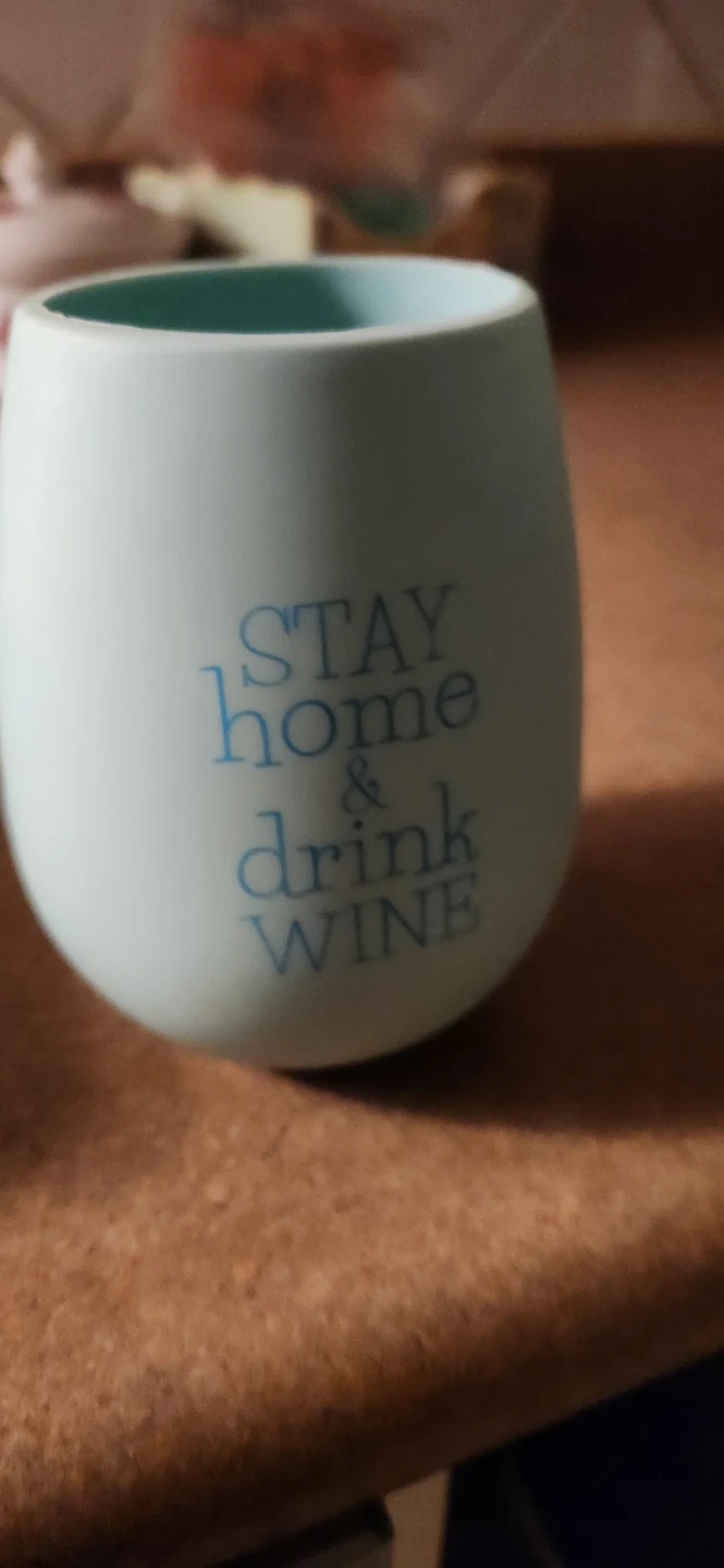 Light Blue "Stay Home & Drink Wine" Tumbler
