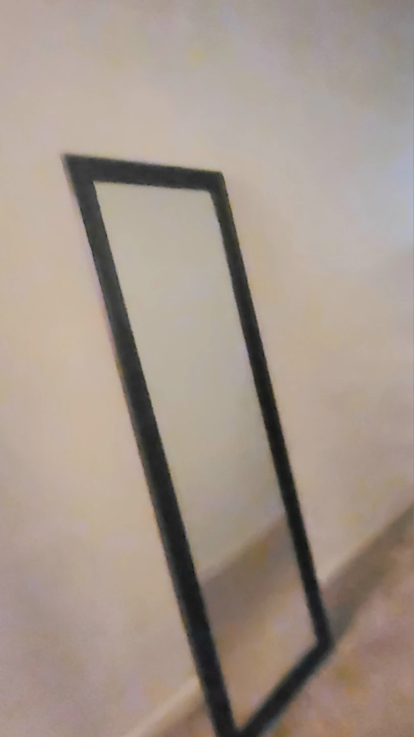Door Mirrors - photo 3