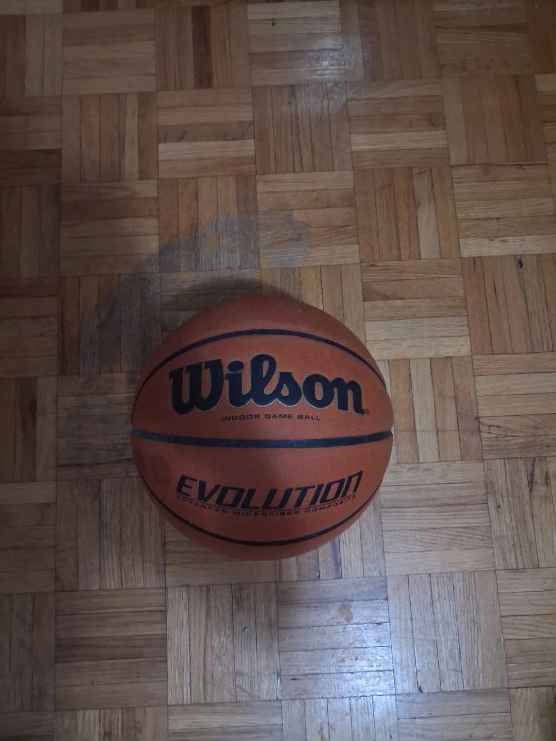 Wilson Evolution Indoor Game Basketball