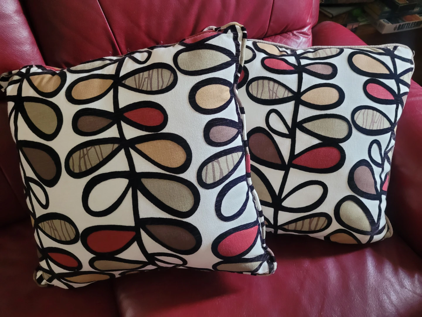 Couch pillows