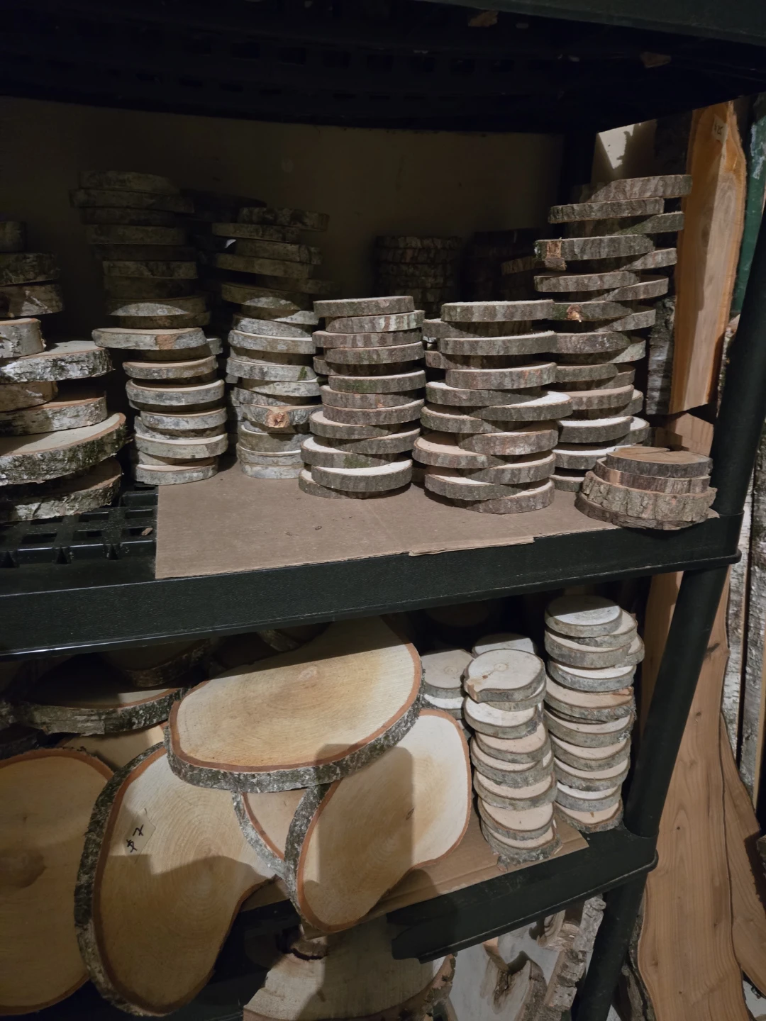 Wood Slices for Crafts and Decor