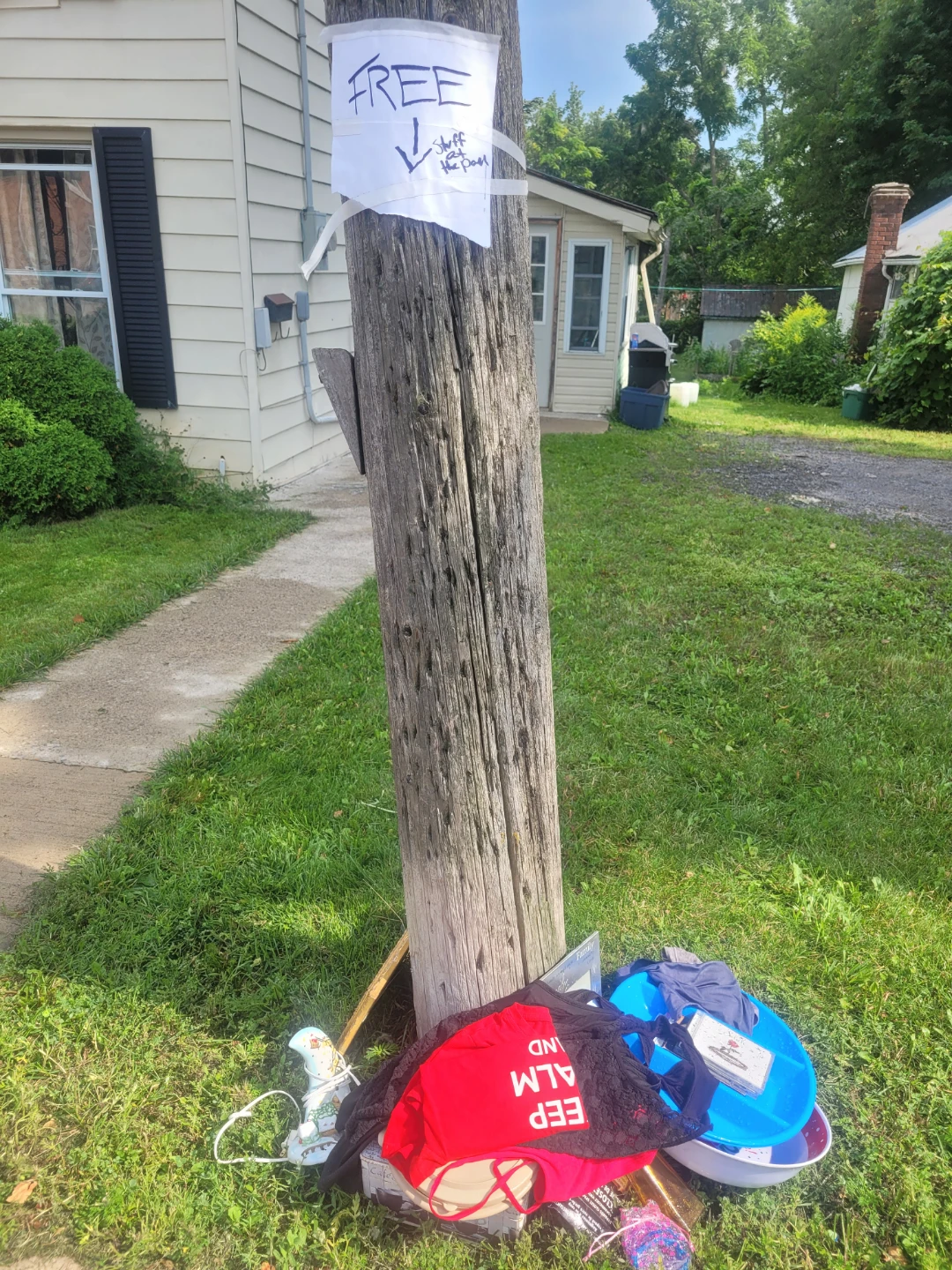 Free stuff at the poll