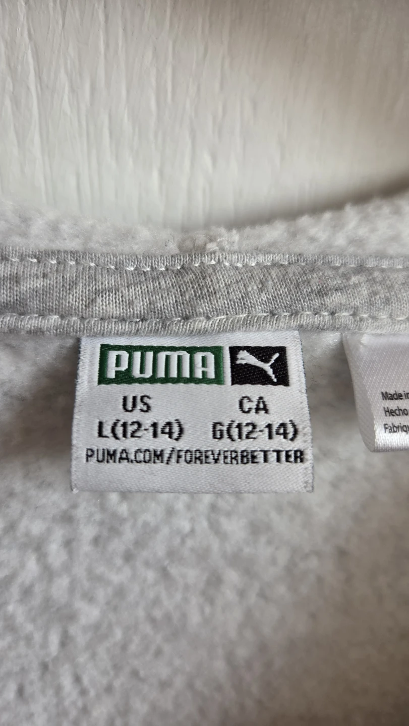Puma Grey Zip-Up Hoodie - photo 3