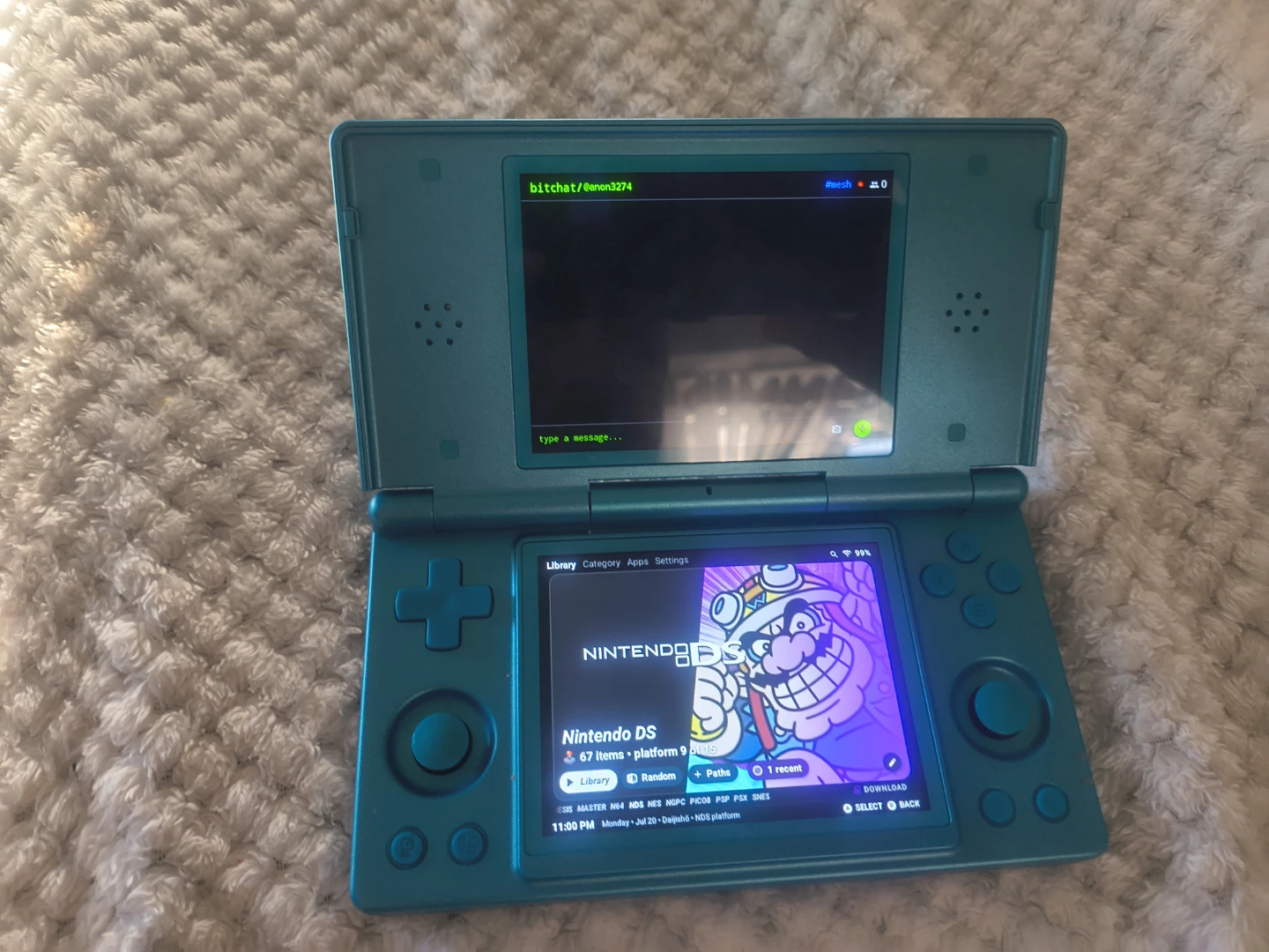 RG DS - photo 2