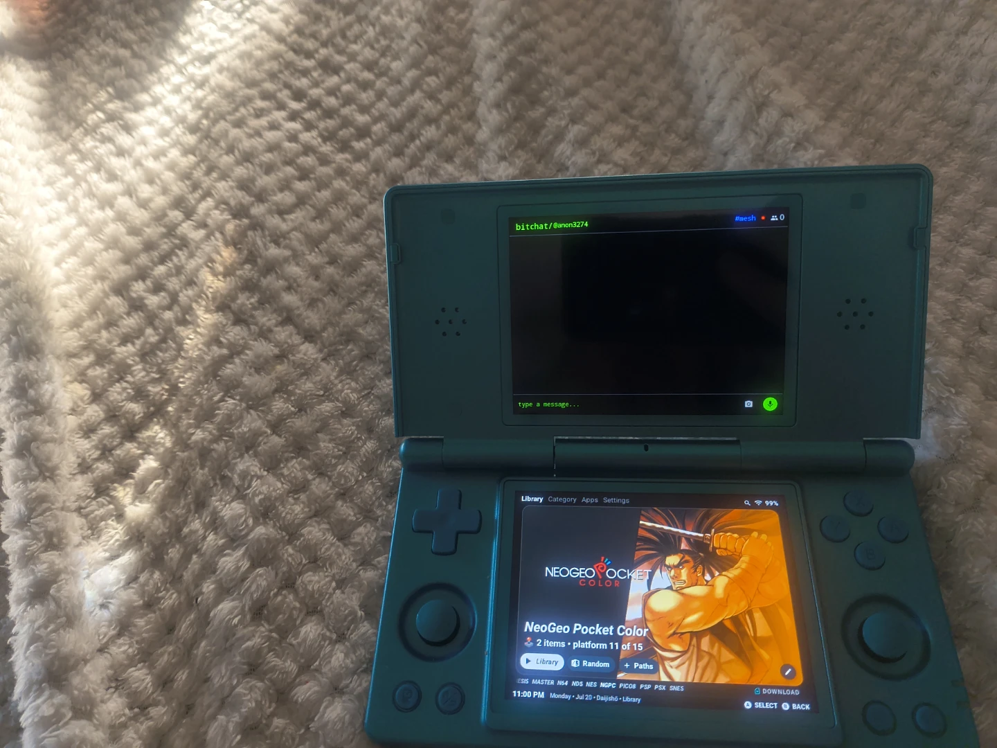 RG DS - photo 3
