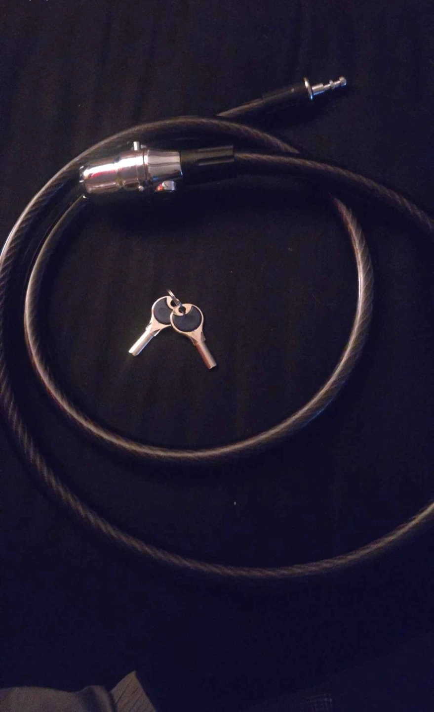 Alarm bike lock