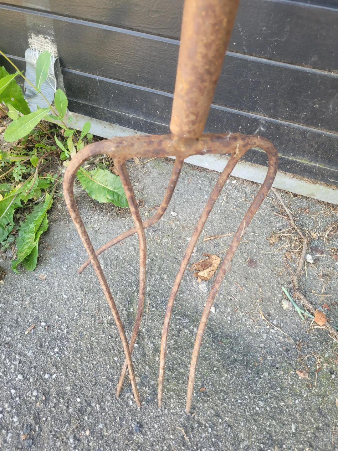 Pitch forks and rake - photo 4
