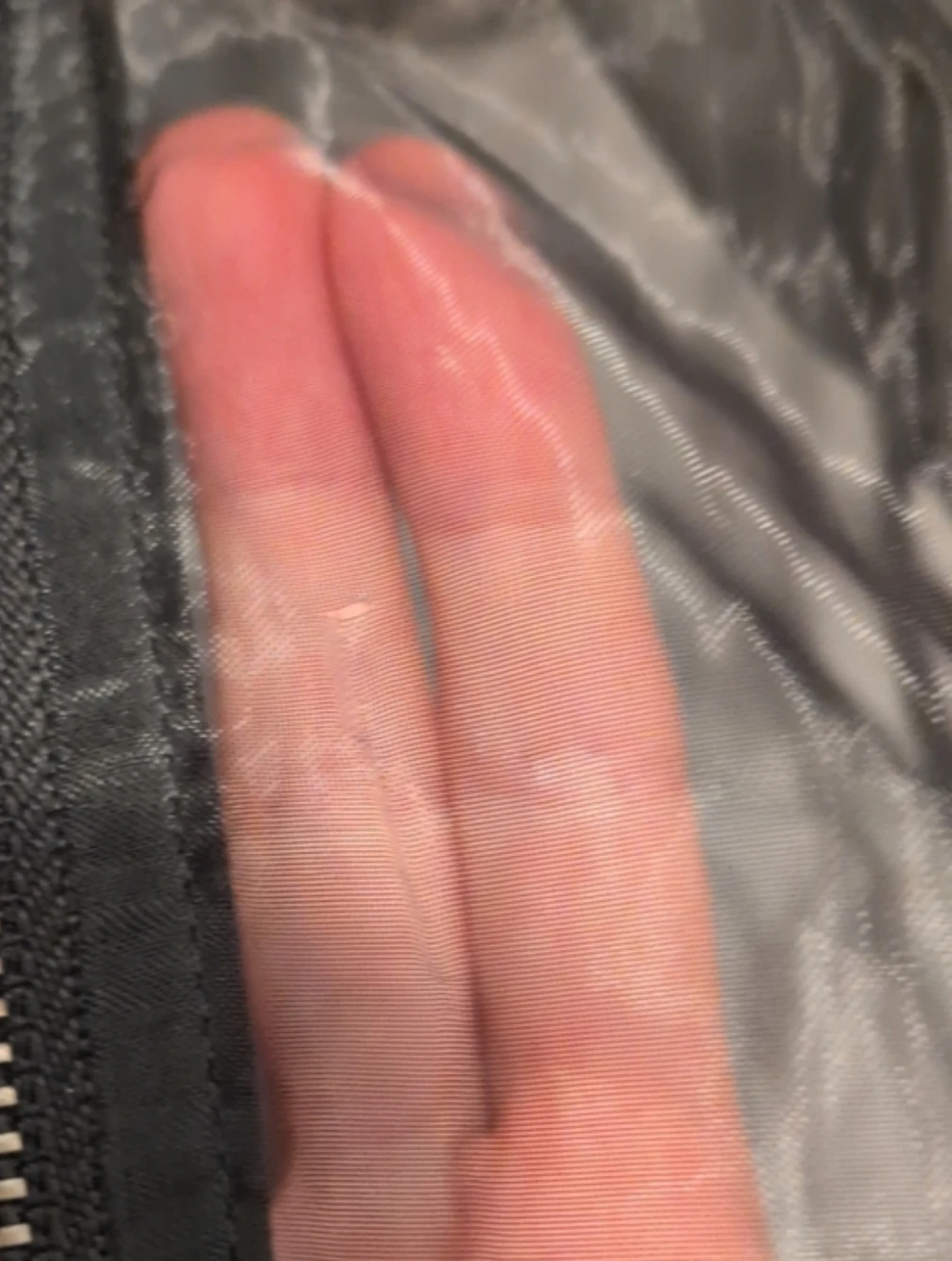 Dolan by Anthropologie Organza Bomber Jacket - photo 4