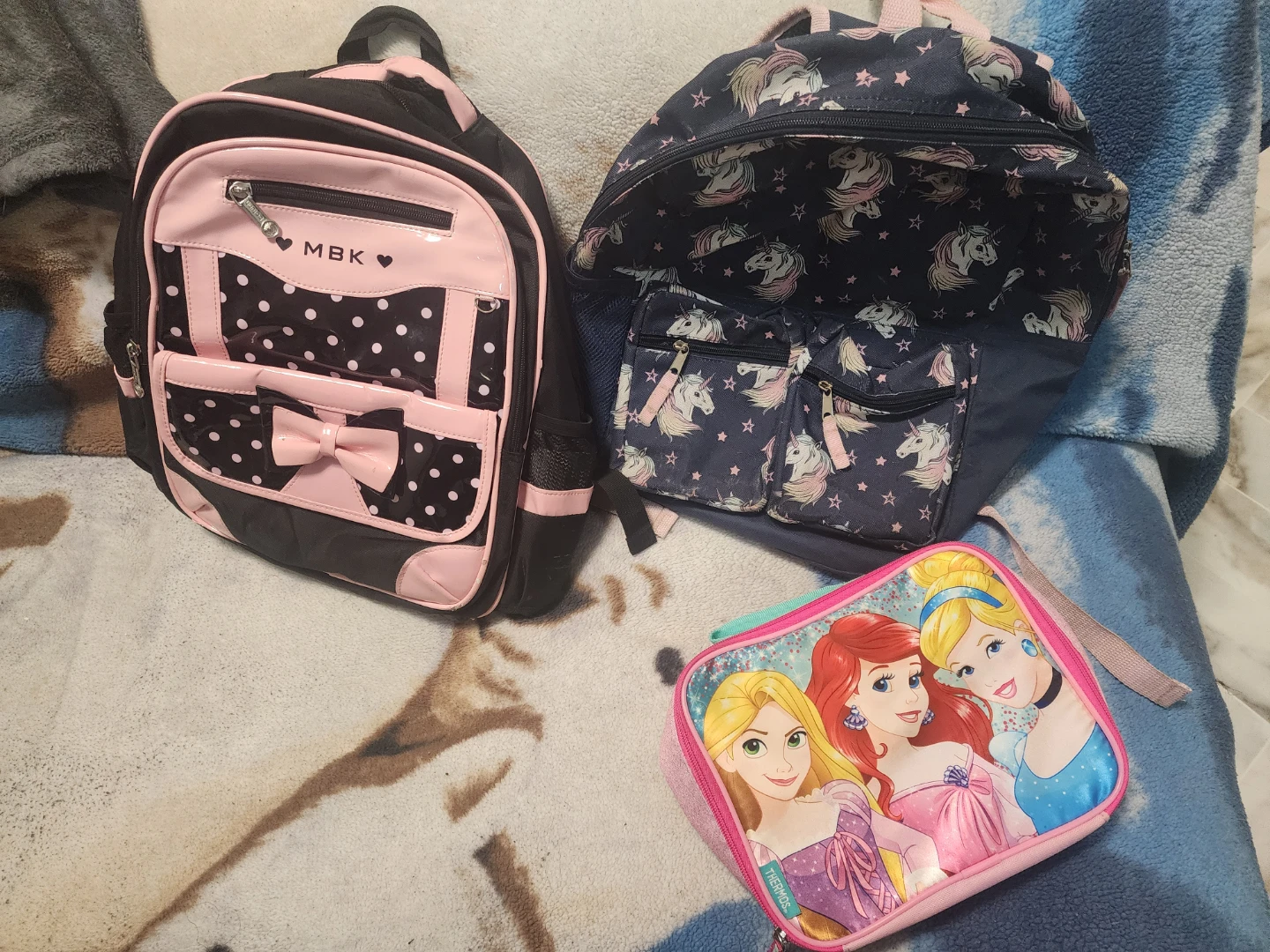 Backpack and lunch bag
