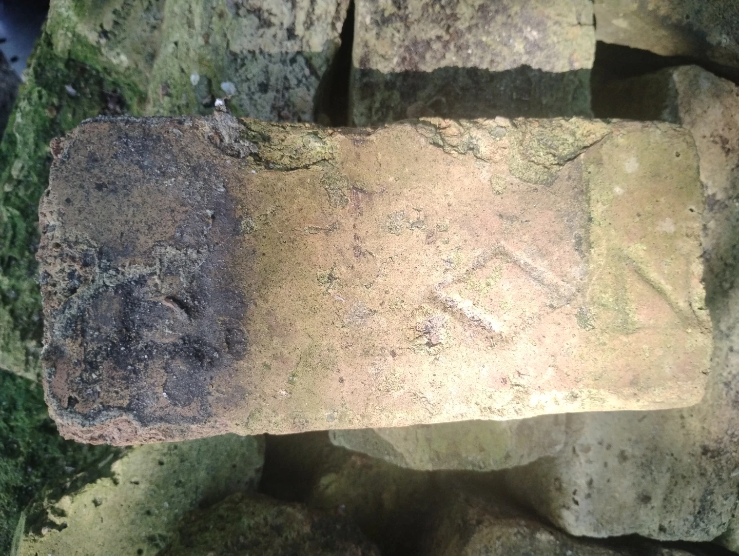 Used Bricks (Barr Brand) - photo 4