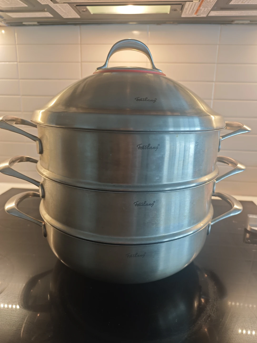 Fisslang Stainless Steel Steamer Pot Set