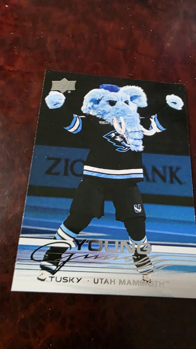 2025-26 Upper Deck Series 2 Hockey Card - TUSKY YOUNG