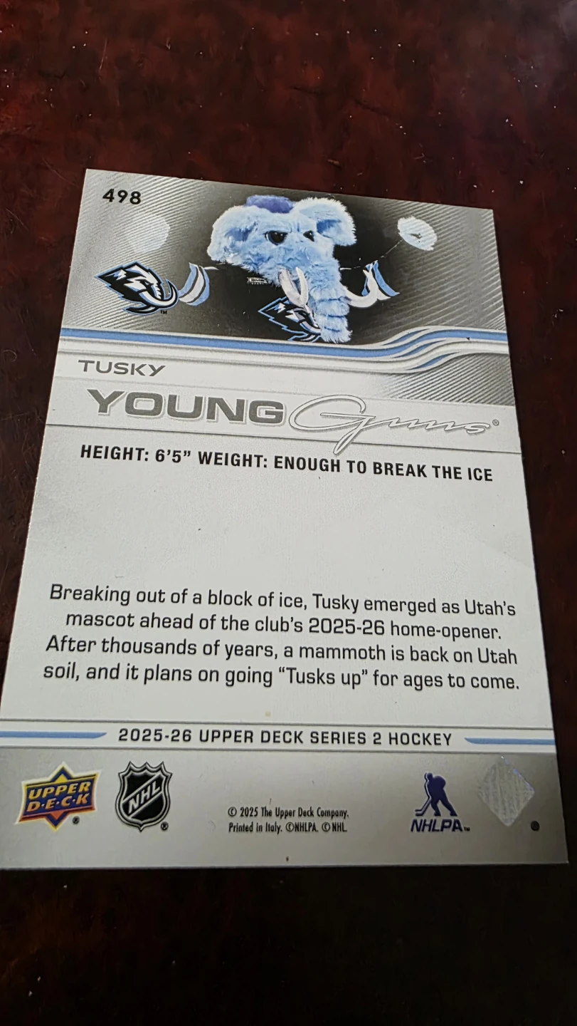 2025-26 Upper Deck Series 2 Hockey Card - TUSKY YOUNG - photo 2