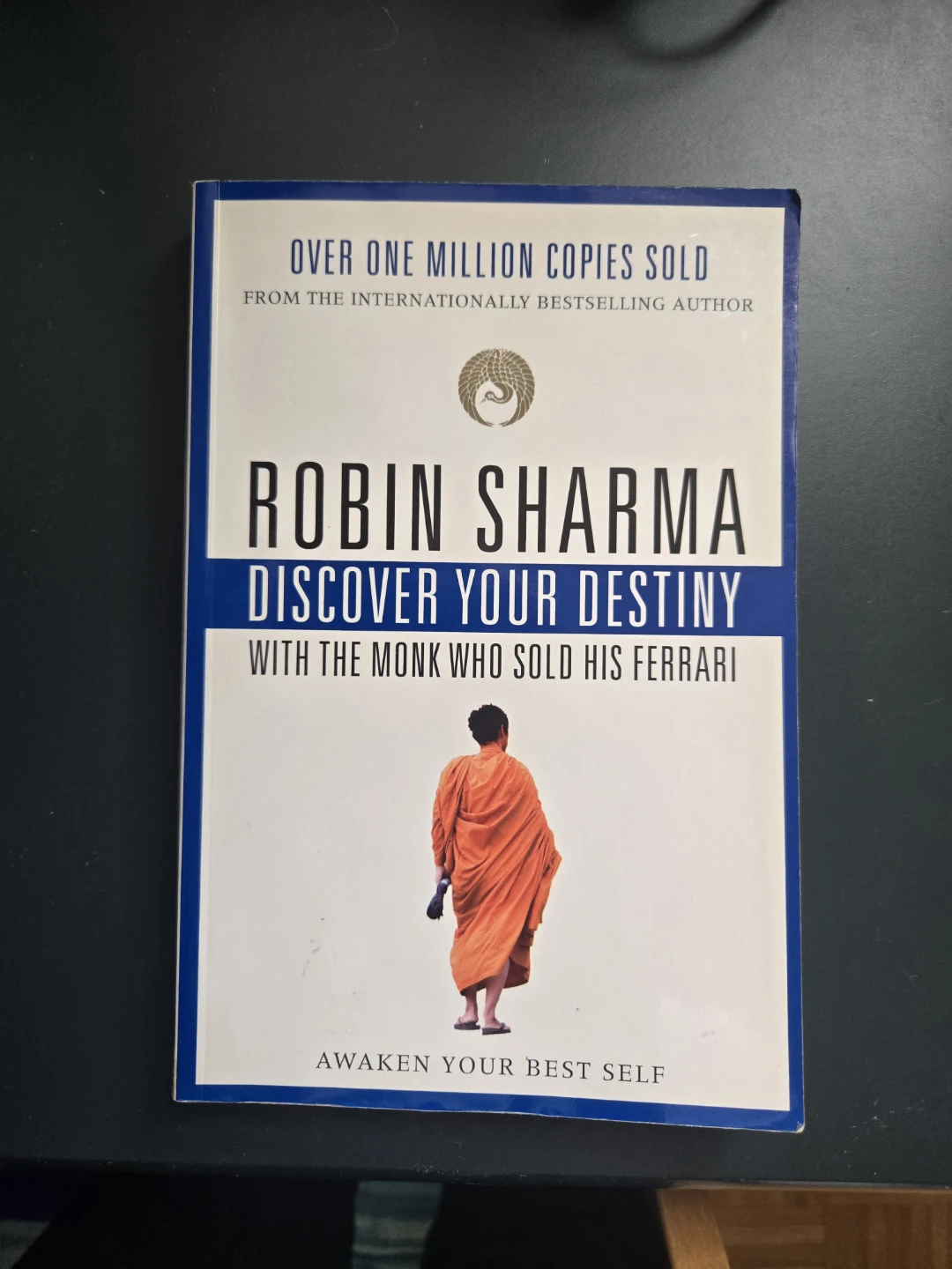 Discover Your Destiny by Robin Sharma