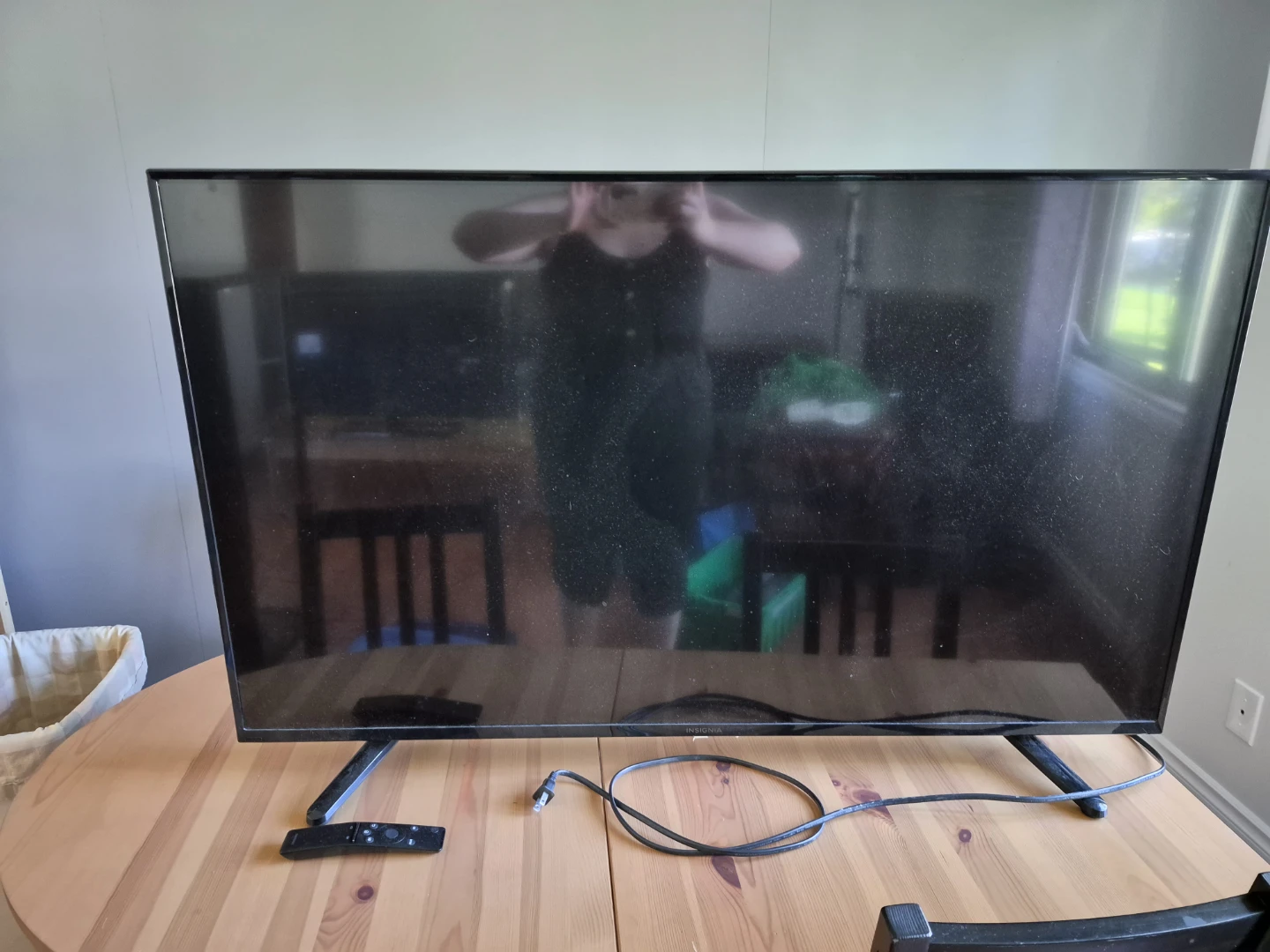 Insignia 48" HD LED TV