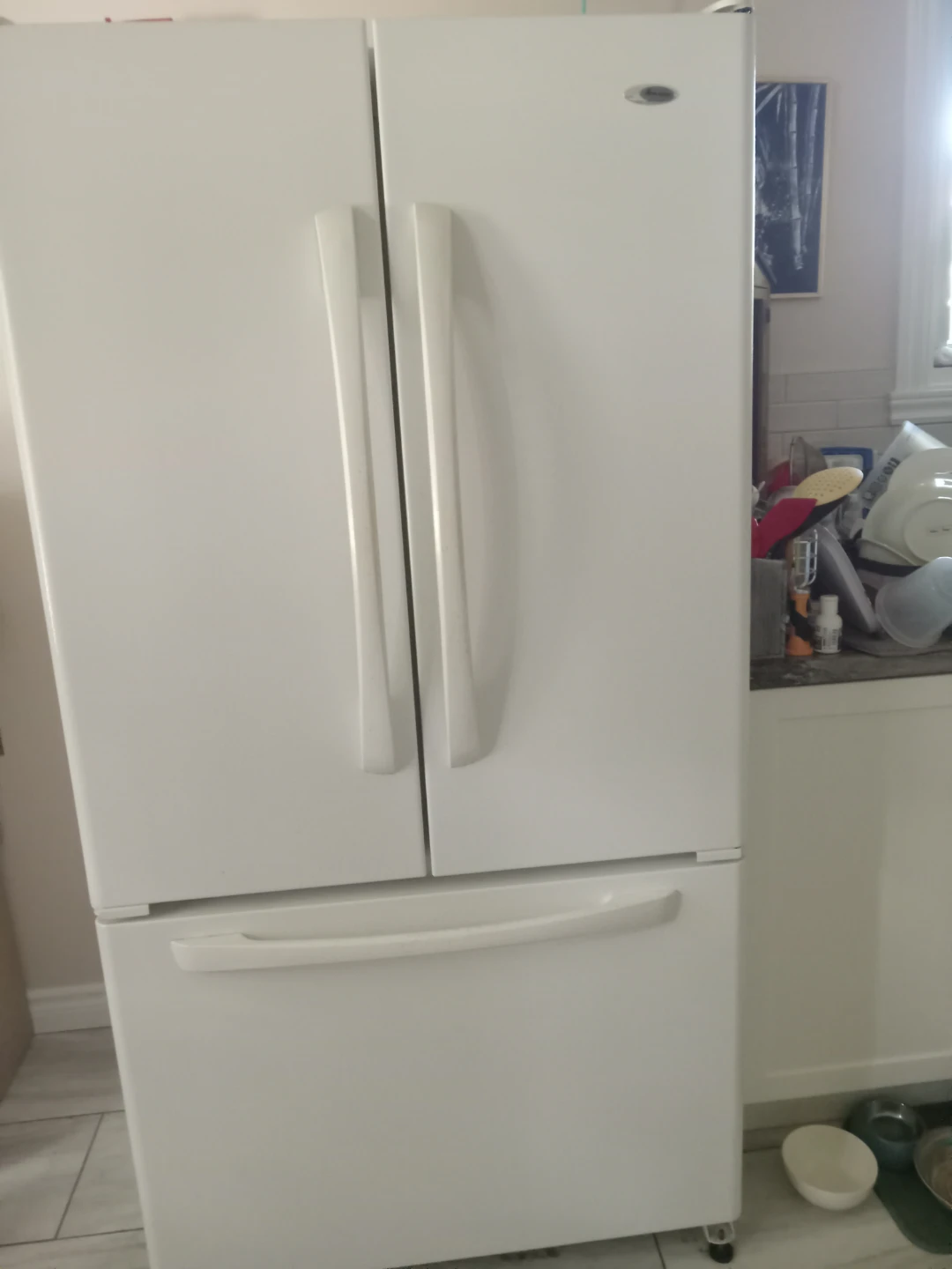 White Amana French Door Refrigerator