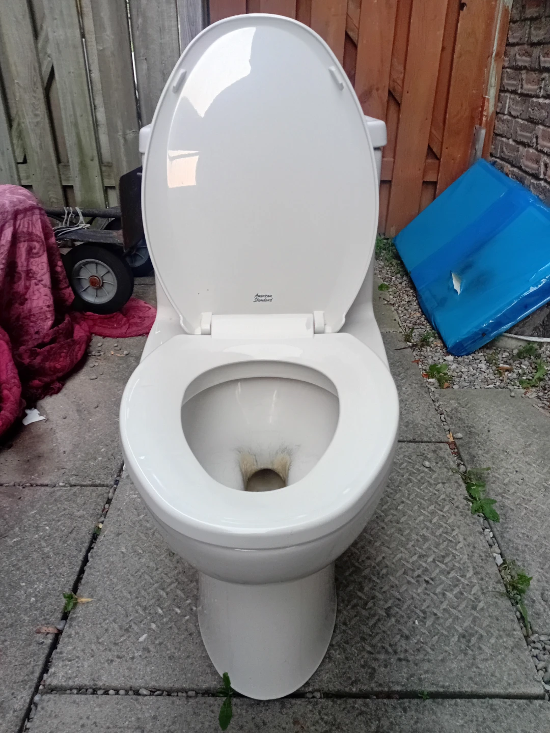 American Standard Toilet - photo 3