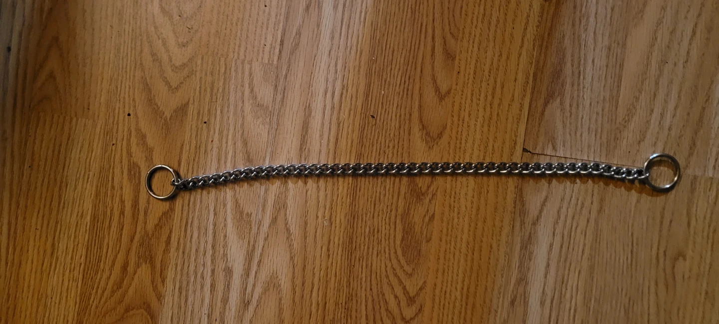 Metal Dog Training Chain Collar