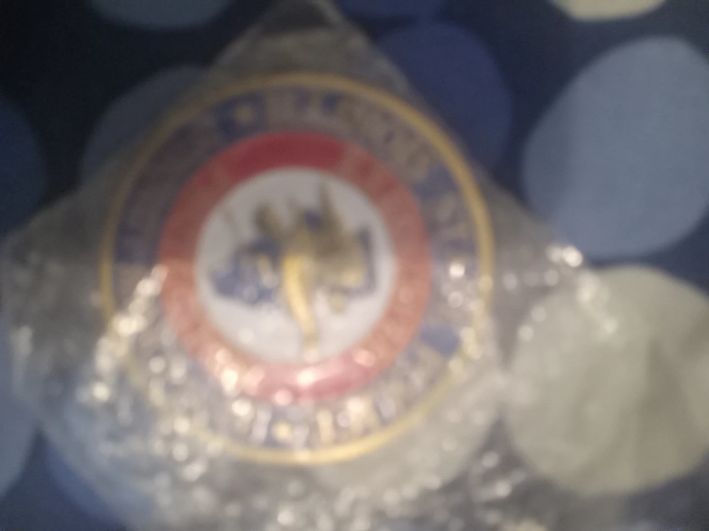 Illinois State Seal Medallion