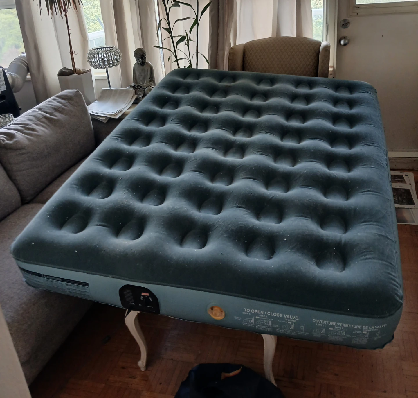 Coleman Air Mattress with Built-in Pump