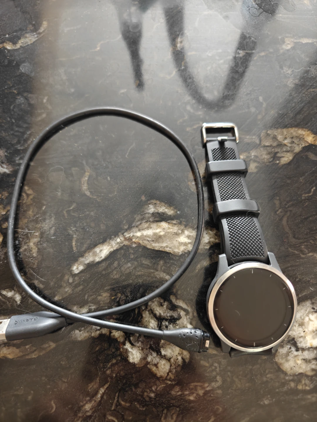 Garmin Vívoactive 4 Smartwatch - photo 2