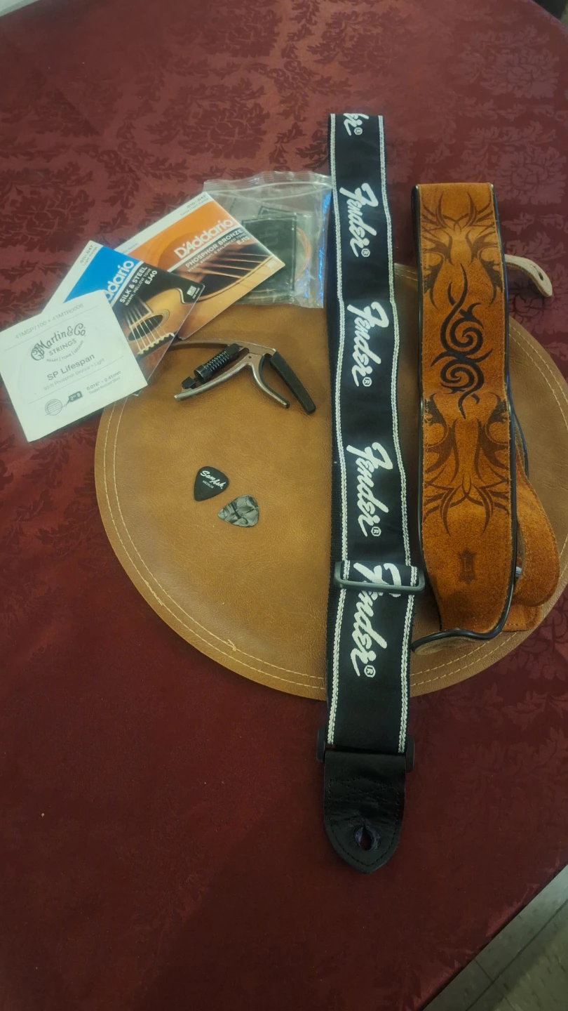 Acoustic Electric Bundle - photo 3