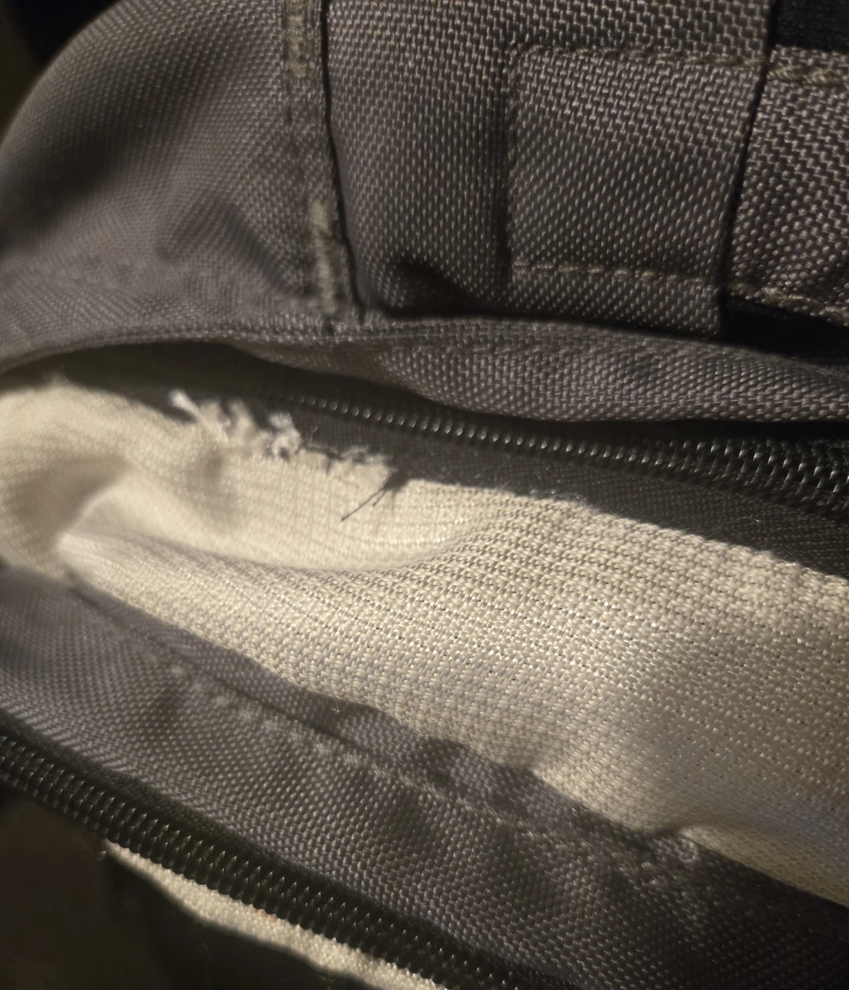 Backpacks. Vans, Herschel, Roots,Champion, etc. EUC. - photo 3