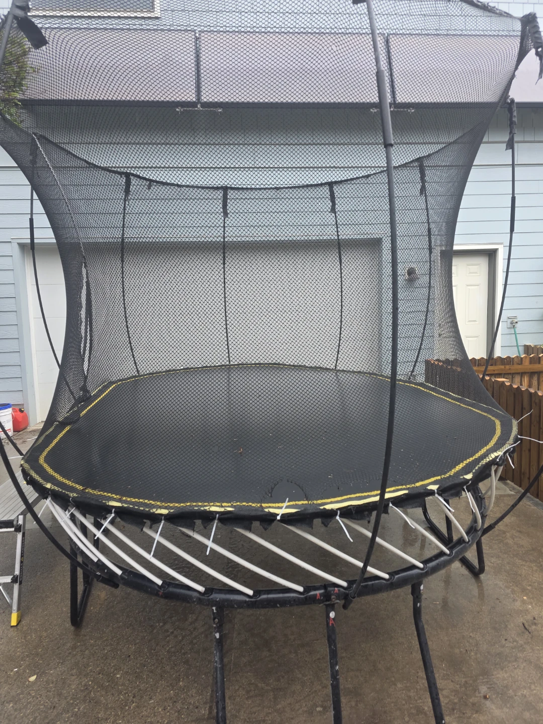 077 oval springfree Trampoline